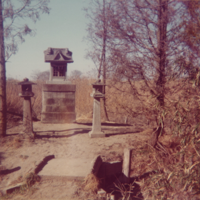 ���r�ٓV�E���r(�I�C�e�P�x)